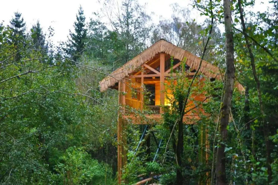 cabane vue de l'extérieur