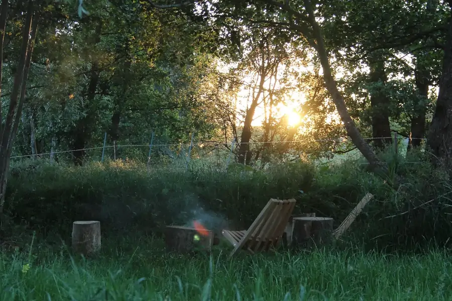 transat dans la prairie