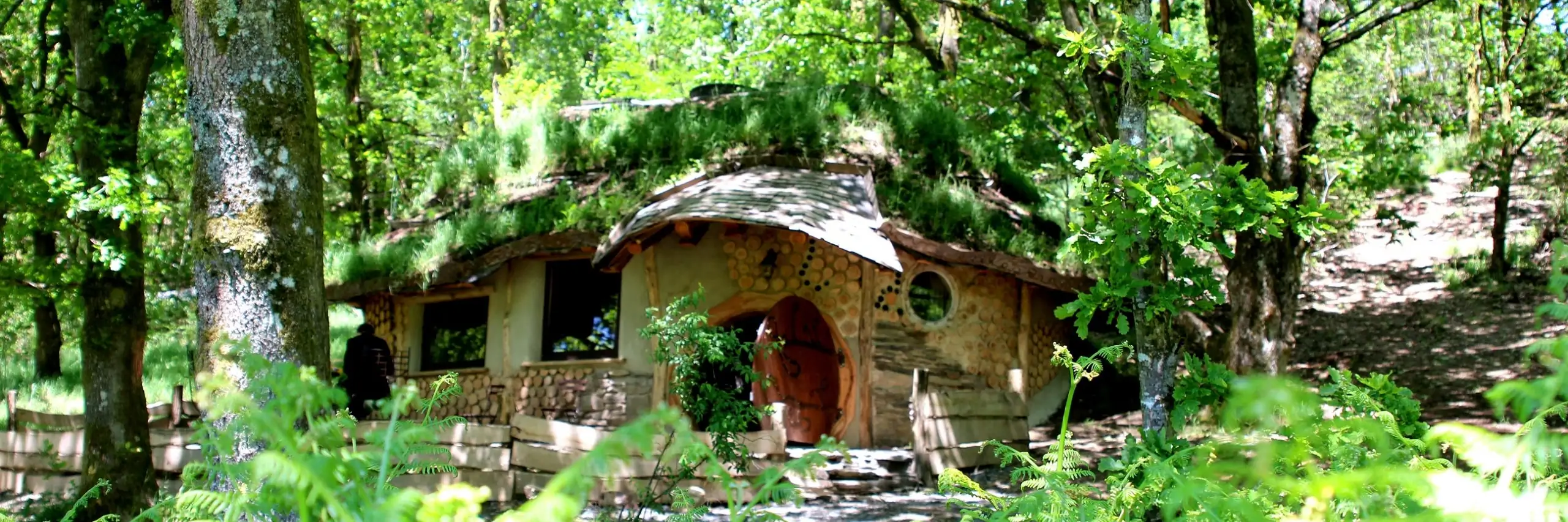 Mon Lit dans l'Arbre