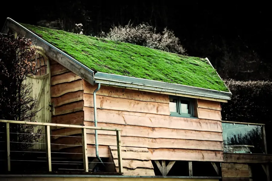 cabane avec toiture végétal